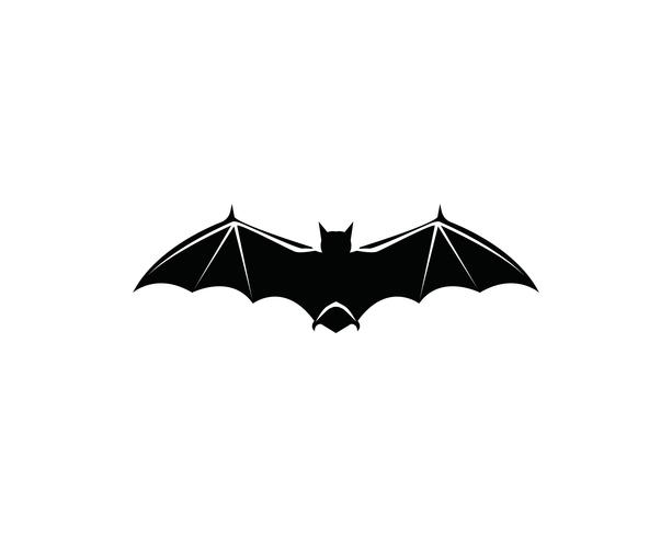 Bat logo  and symbols template vector