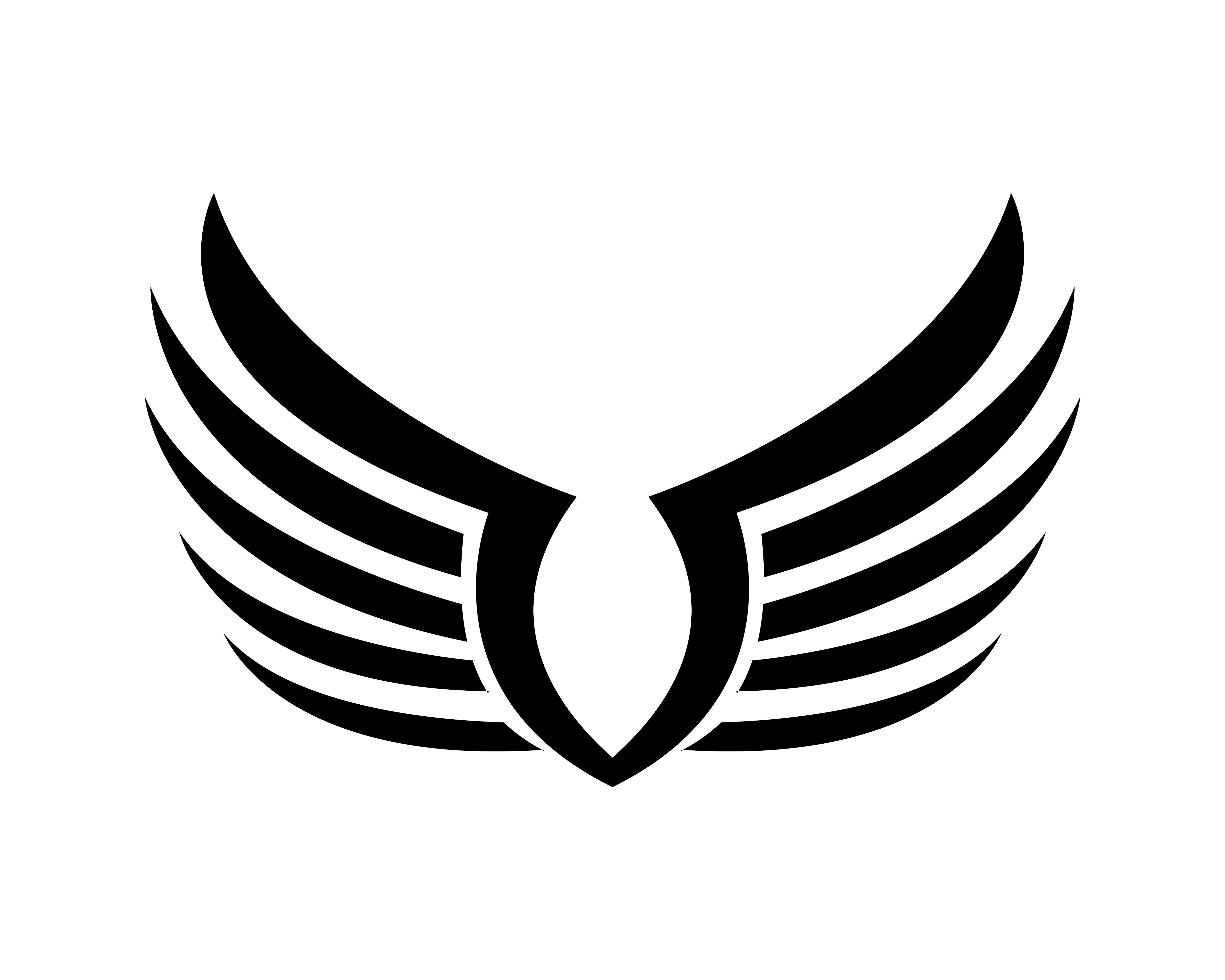 Bird Wing Template Bird Wing Template