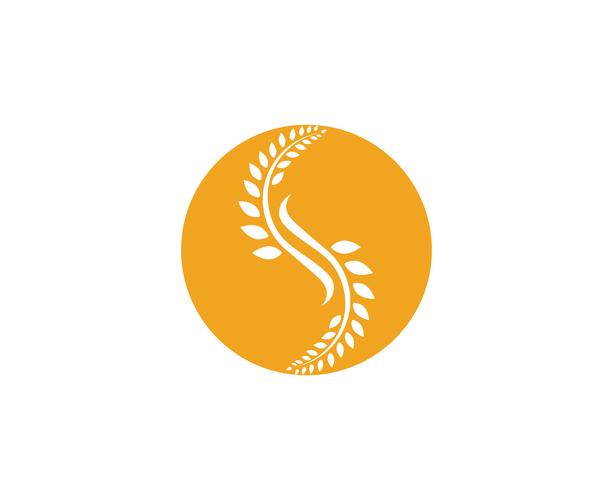 Agriculture wheat Logo Template,healthy life logo vector icon design