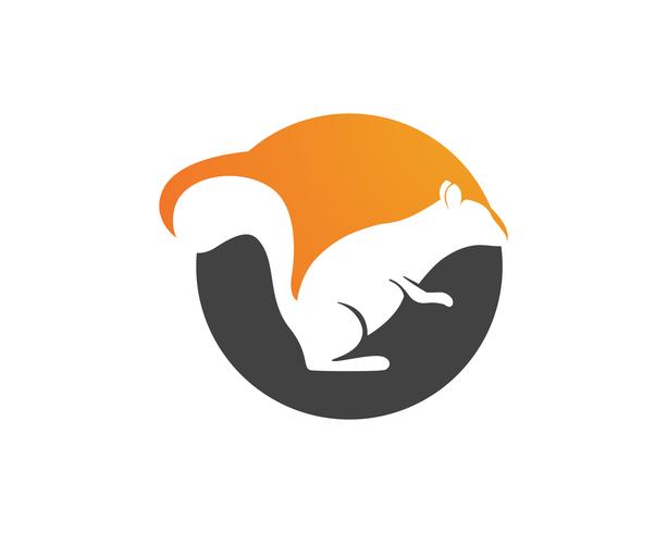 squirrel logo and symbols vector