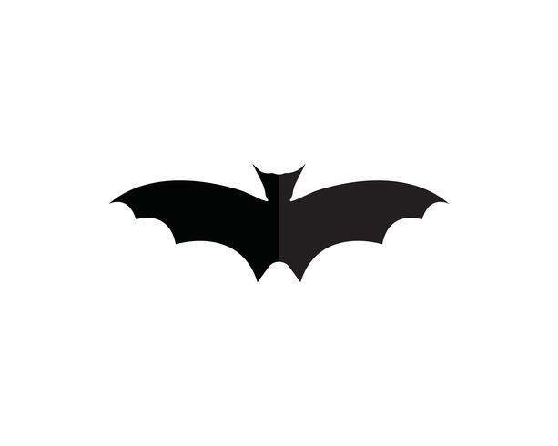 Bat logo  and symbols template vector