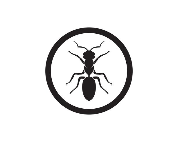Ant Logo template vector illustration design