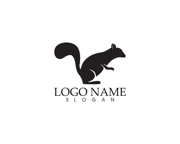 squirrel logo and symbols vector