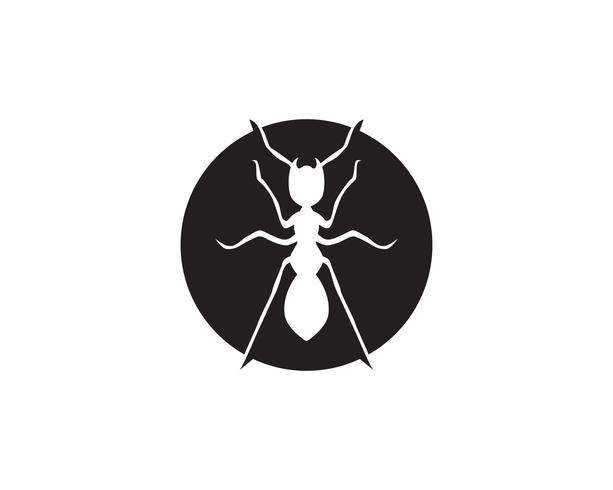 Ant Logo template vector illustration design