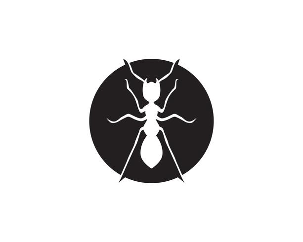 Ant Logo template vector illustration design