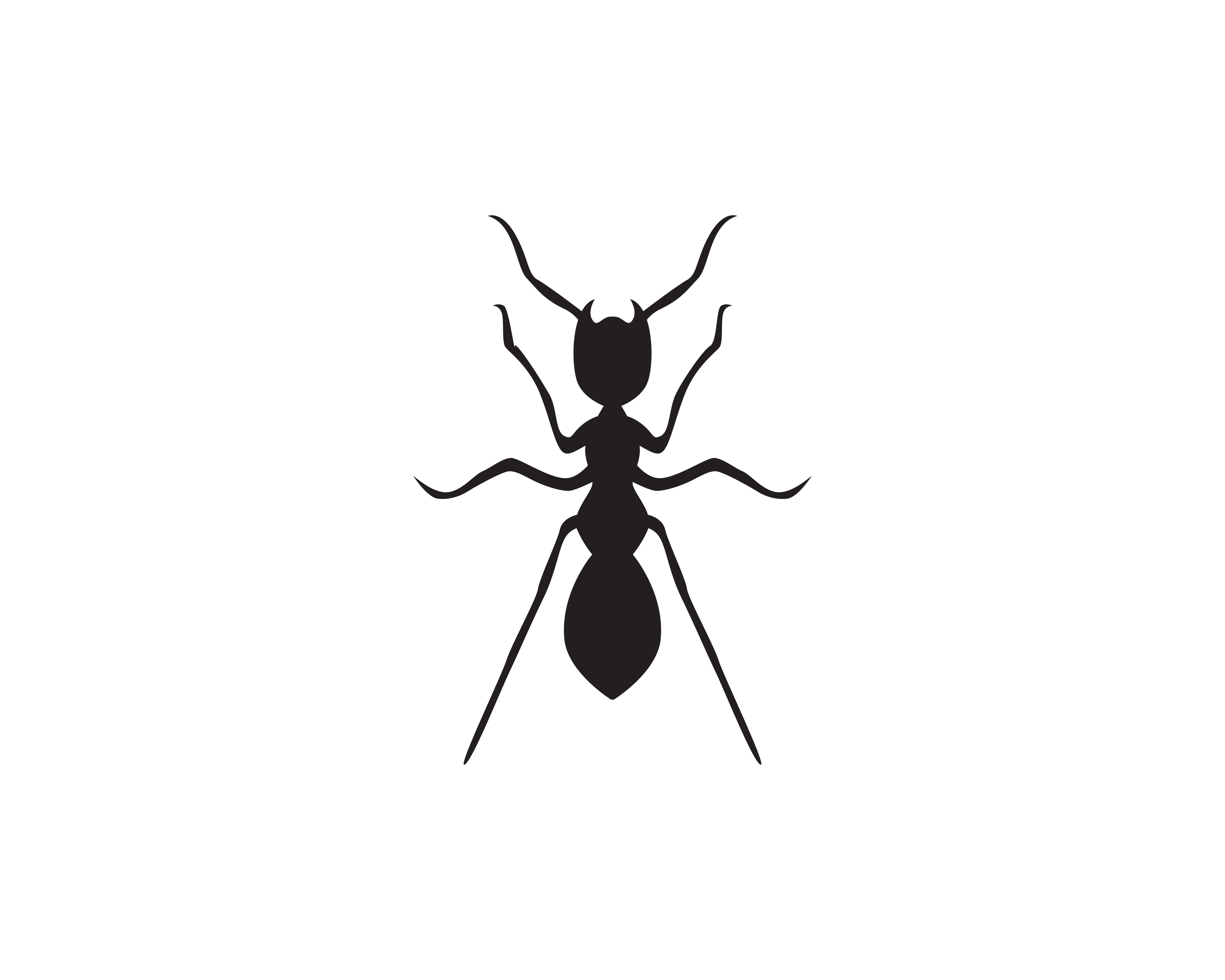 Download Ant Logo template vector illustration design - Download ...