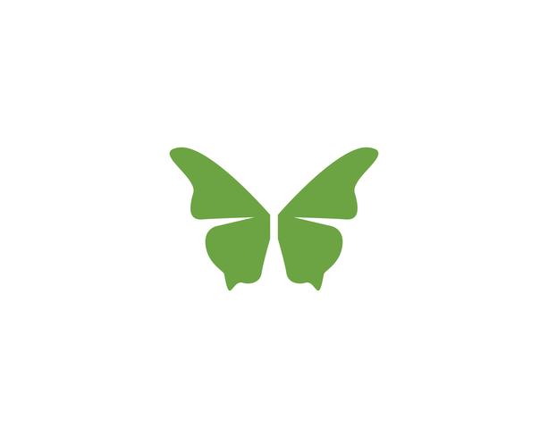 Butterfly conceptual simple, colorful icon. Logo. Vector illustration