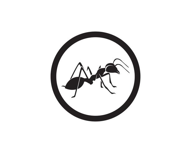 Ant Logo template vector illustration design