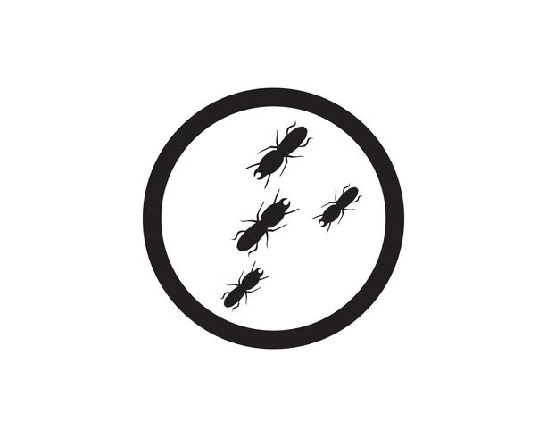 Ant Logo template vector illustration design