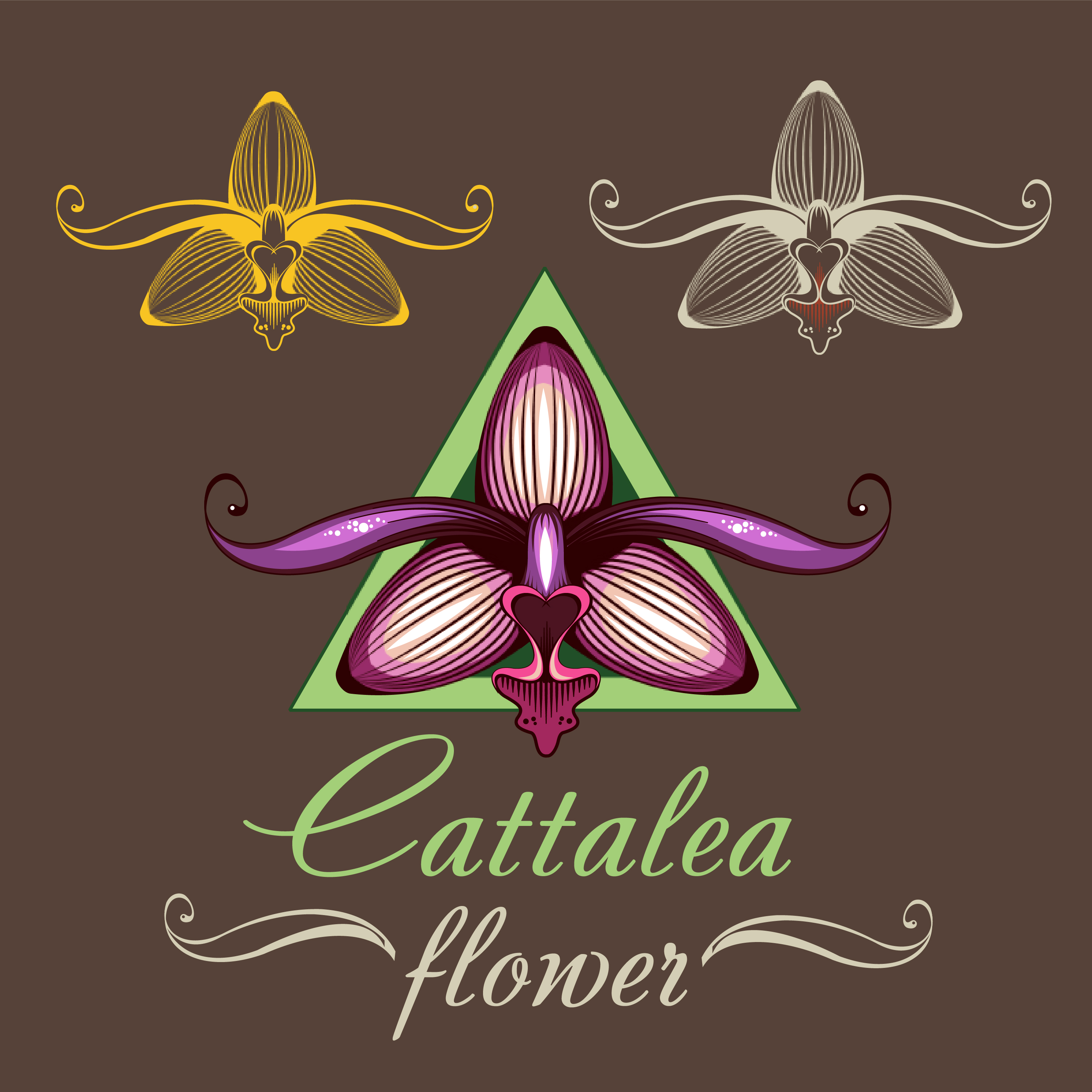 Download pink-purple orchid vector flower, illustration - Download ...