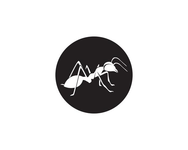 Ant Logo template vector illustration design