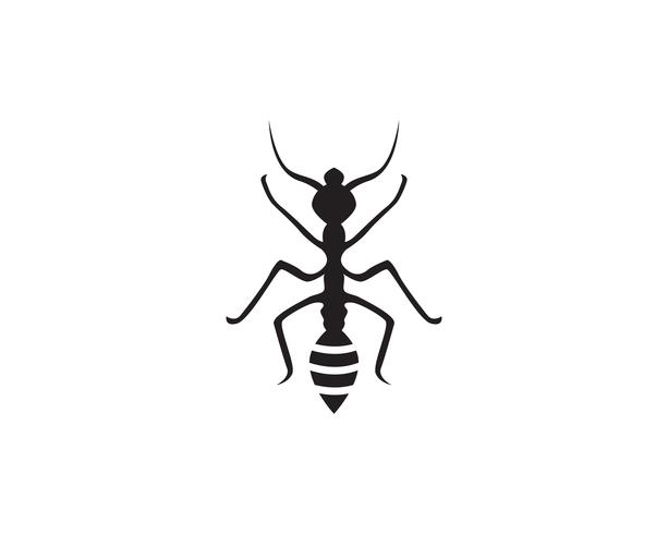 Ant Logo template vector illustration design