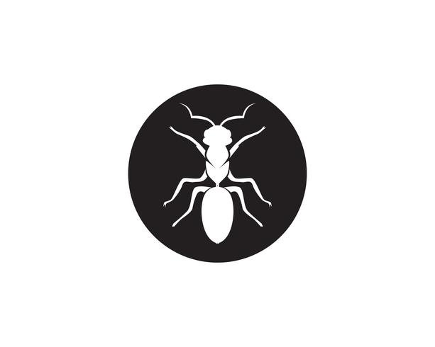Ant Logo template vector illustration design
