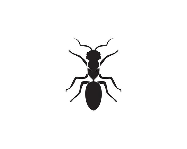 Ant Logo template vector illustration design