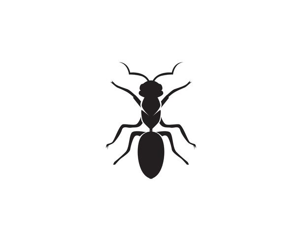 Ant Logo template vector illustration design