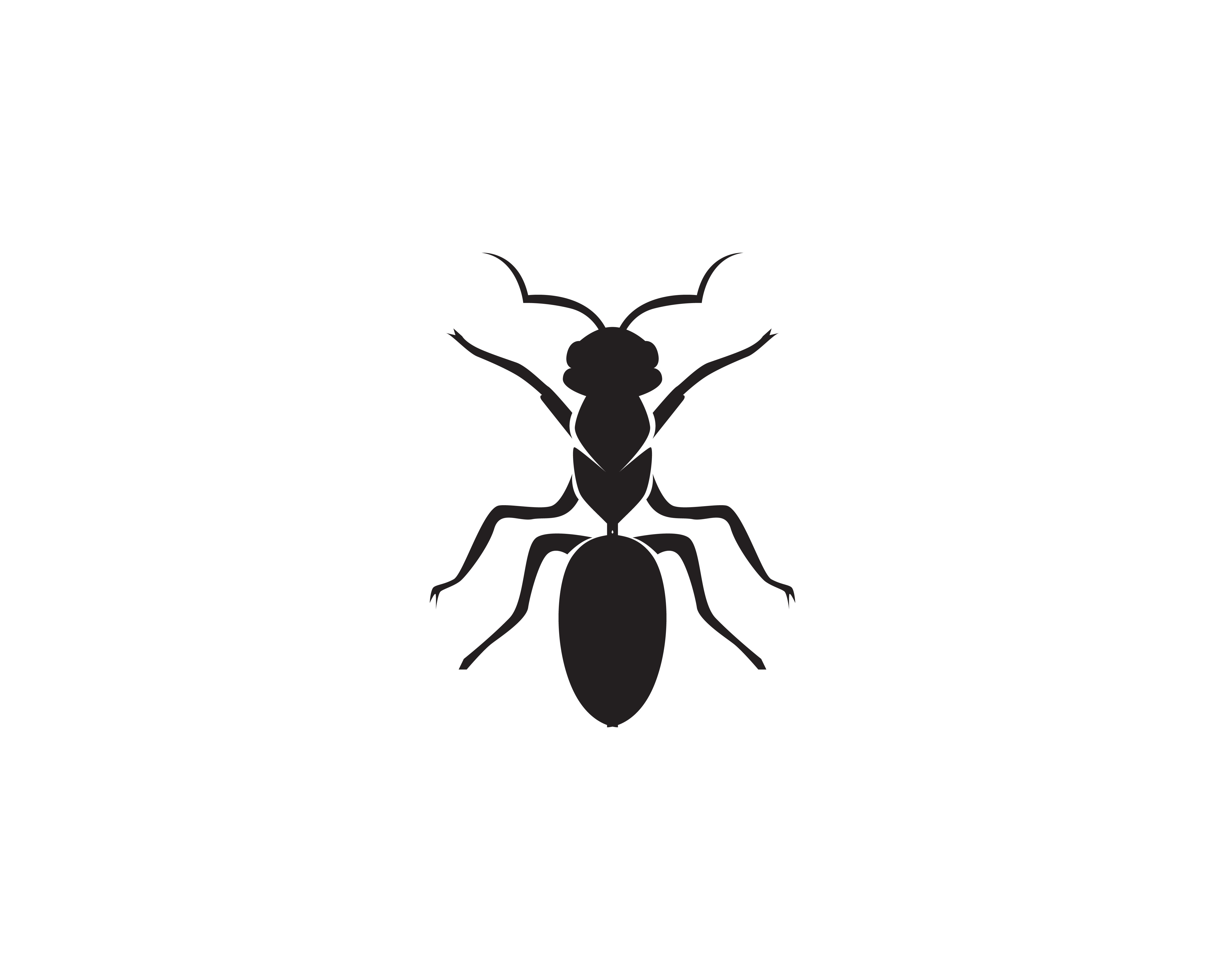 Download Ant Logo template vector illustration design - Download ...