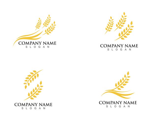 Agriculture wheat Logo Template vector icon design