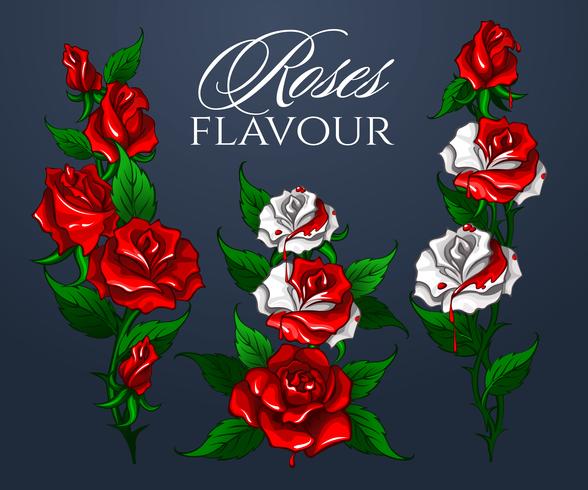 Roses Flavour bouquet vector