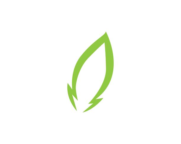 Logotipos de ecología de hoja de árbol verde. vector