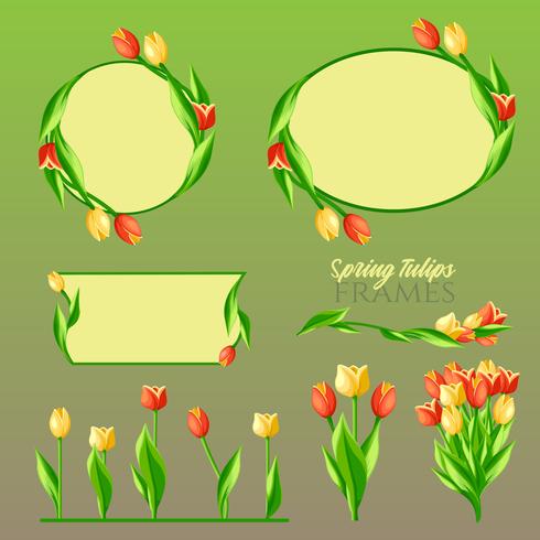 Conjunto de marcos de tulipanes de primavera vector