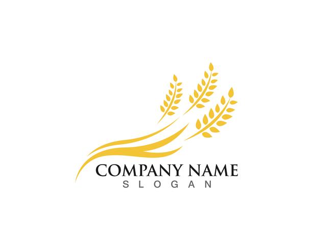 Agriculture wheat Logo Template vector icon design