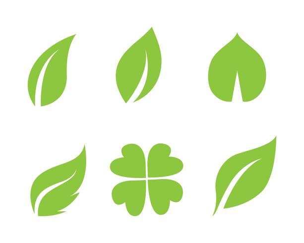green leaf ecology nature element vector icon