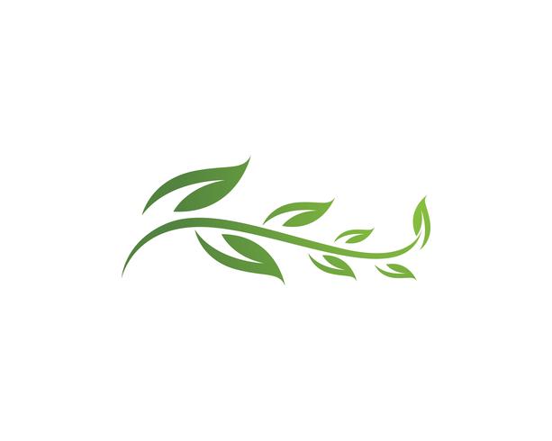 Logos of green Tree leaf ecology vector