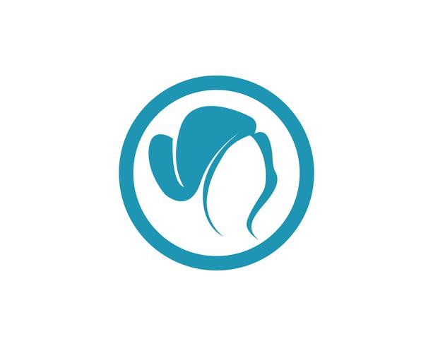 hair woman and face logo and symbols ,, vector