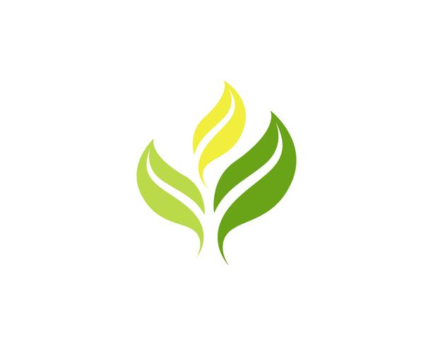  leaf green nature logo and symbol template Vector ..