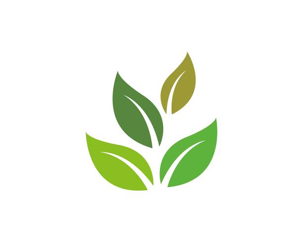 Logotipos de ecología de hoja de árbol verde. vector