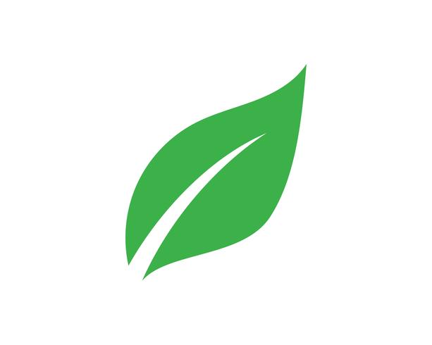 Logotipos de ecología de hoja de árbol verde. vector