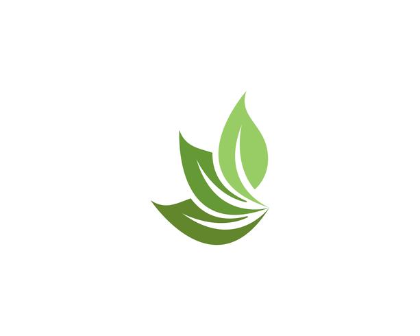 Hoja verde naturaleza logotipo y símbolo plantilla Vector ...