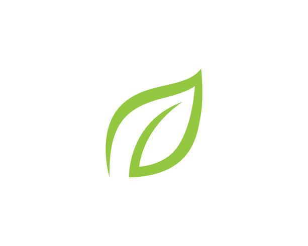 Logotipos de ecología de hoja de árbol verde. vector