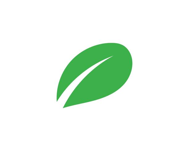 Logotipos de ecología de hoja de árbol verde. vector