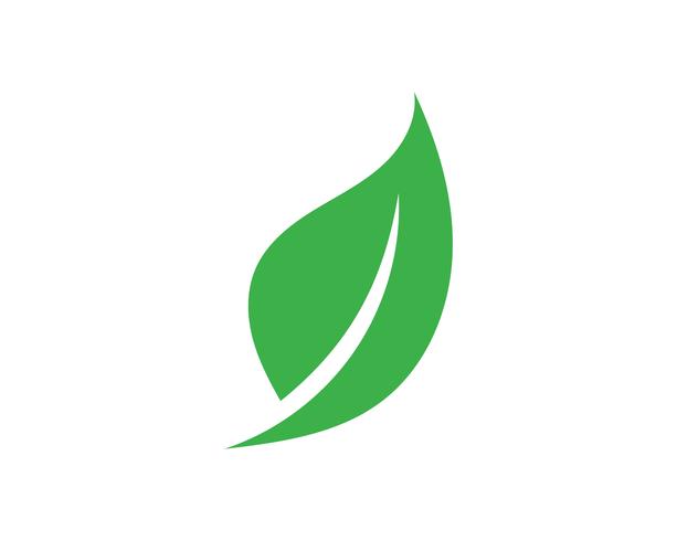 Logotipos de ecología de hoja de árbol verde. vector