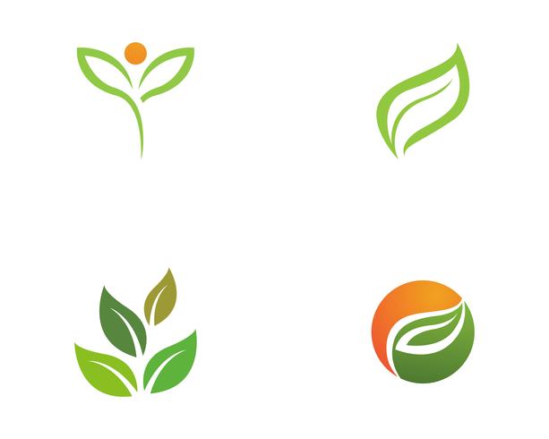 Logotipos de ecología de hoja de árbol verde. vector