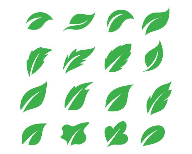 Logotipos de ecología de hoja de árbol verde. vector