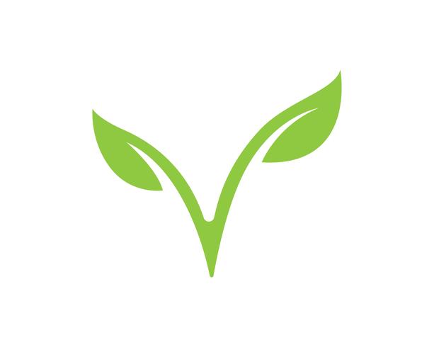 Logotipos de ecología de hoja de árbol verde. vector