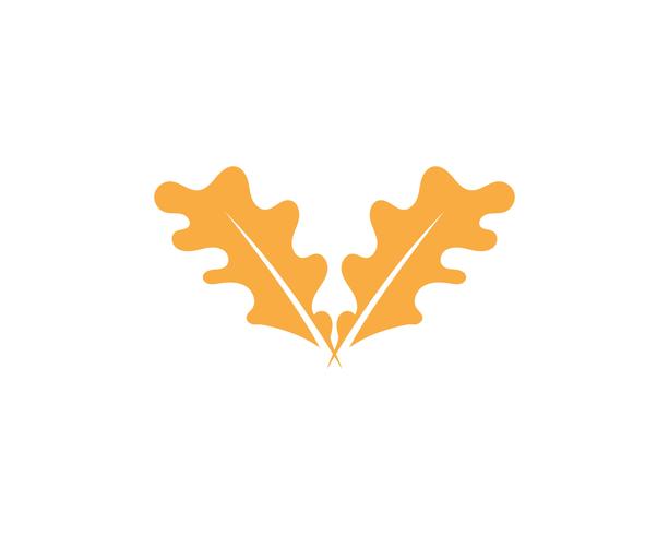 Maple leaf vector illustration