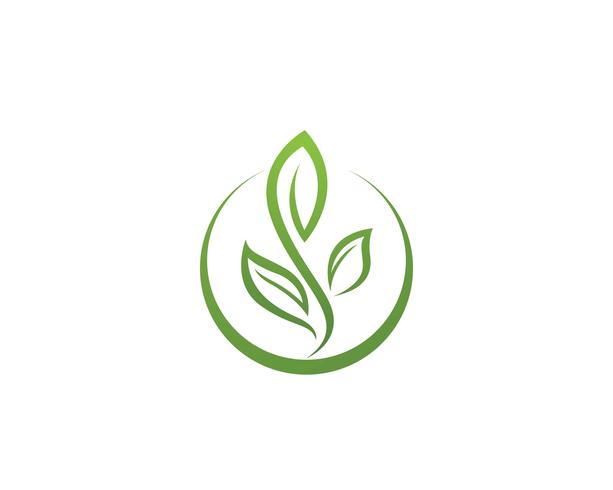 Logos of green Tree leaf ecology vector