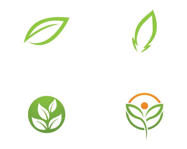 Logotipos de ecología de hoja de árbol verde. vector