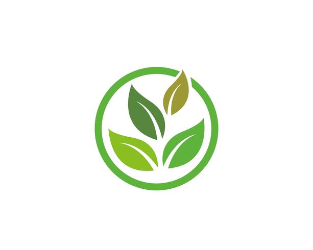 Logos of green Tree leaf ecology vector