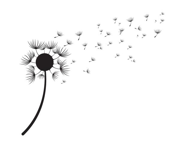 Dandelion vector illustration designs