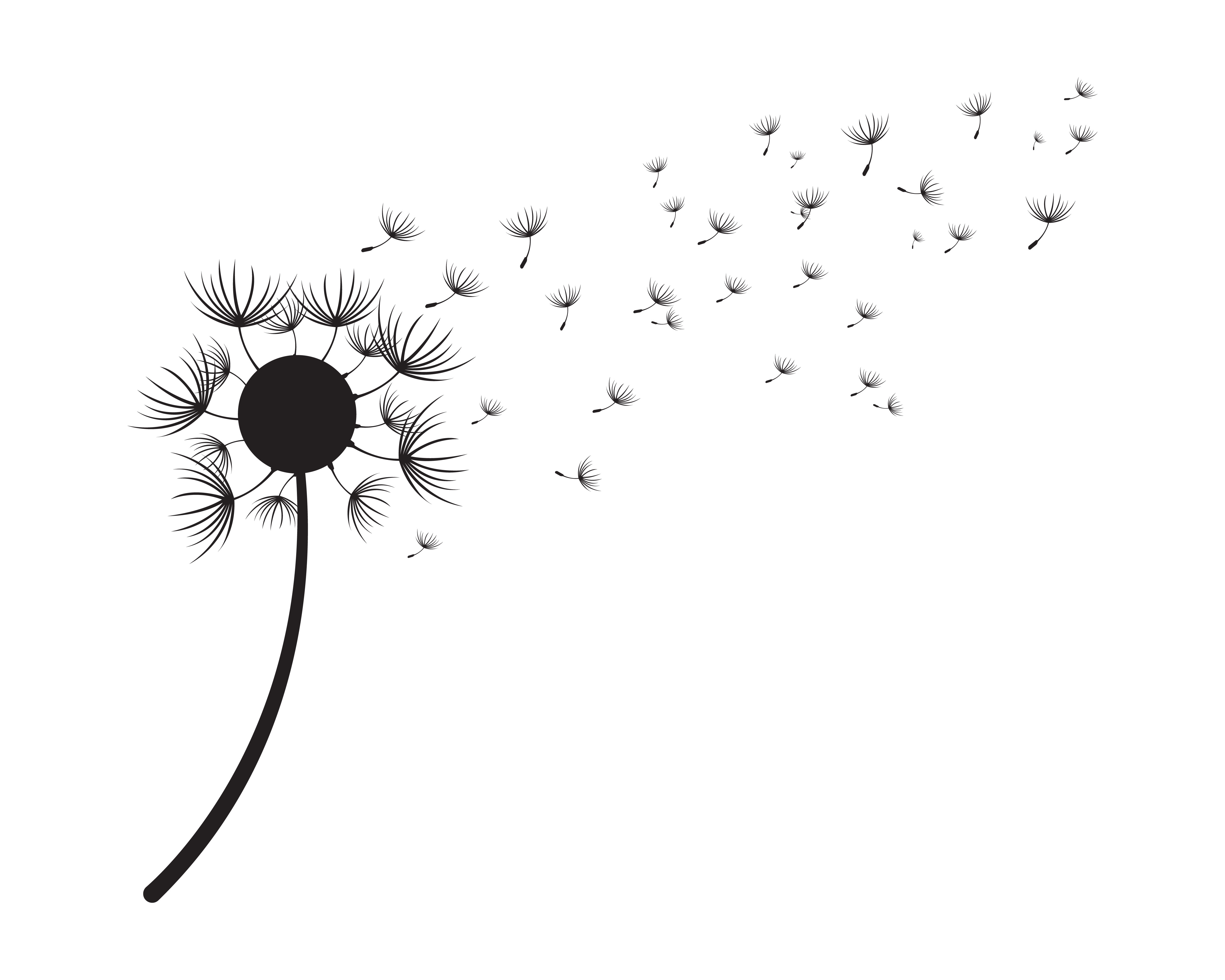 Dandelion vector illustration designs 579765 Vector Art at Vecteezy