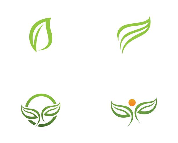 Logotipos de ecología de hoja de árbol verde. vector