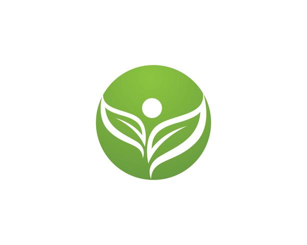 Logotipos de ecología de hoja de árbol verde. vector