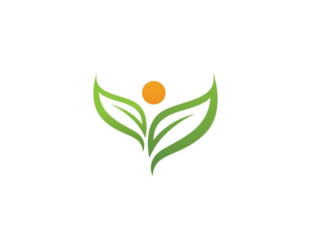 Logotipos de ecología de hoja de árbol verde. vector