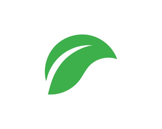 Logotipos de ecología de hoja de árbol verde. vector