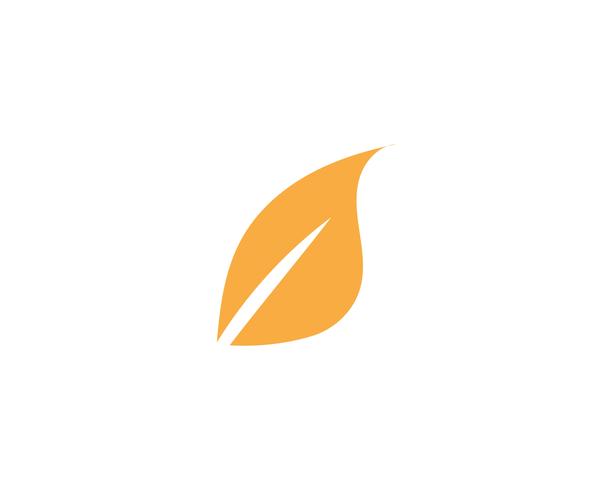 Maple leaf vector illustration