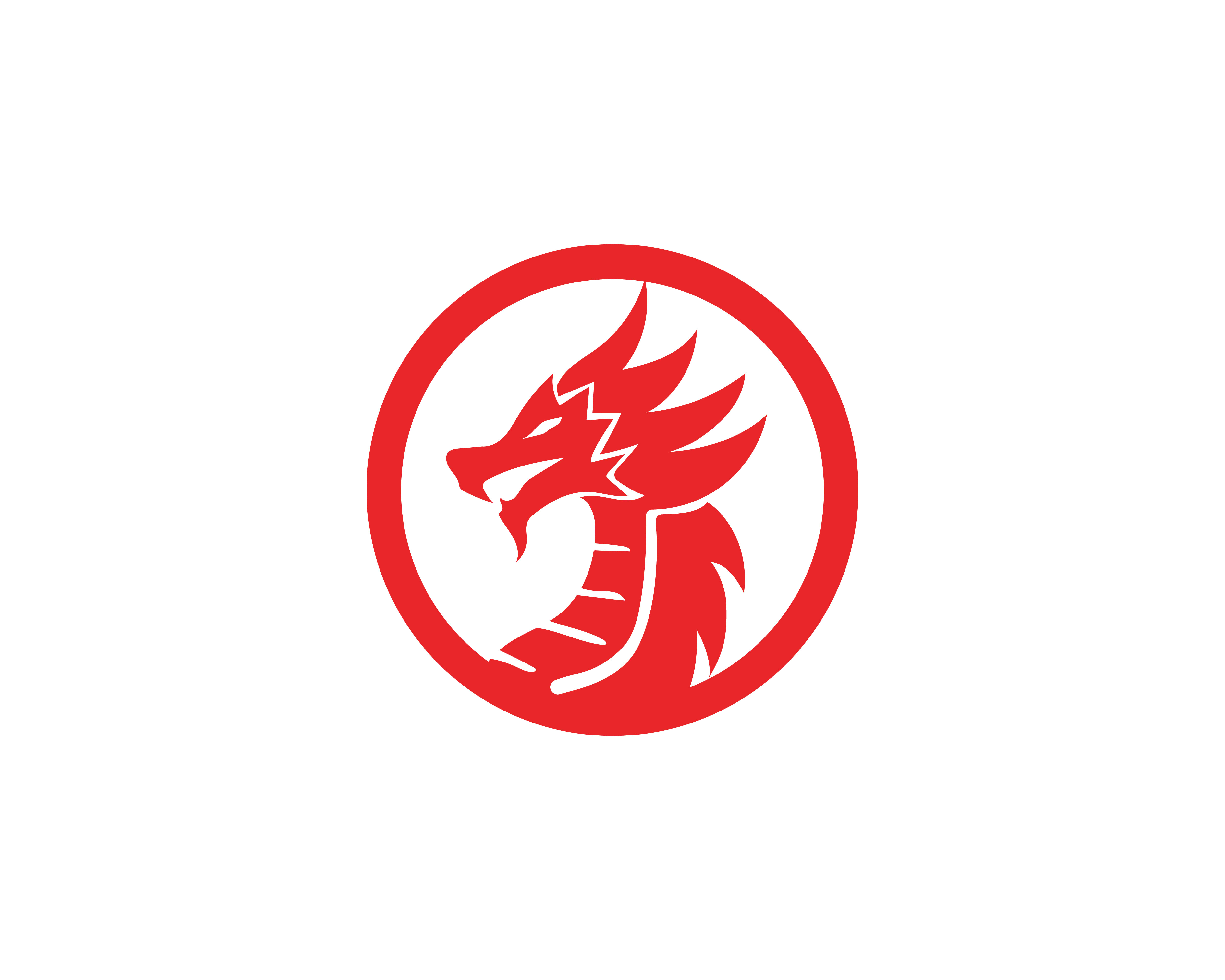 Chinese Dragon Logo